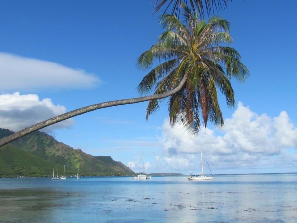 Beach De Reve De Moorea Hauru Esterno foto
